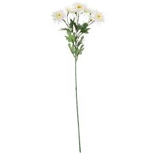 We did not find results for: White Pom Pom Mum Stem Hobby Lobby 1478