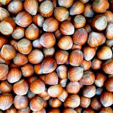 Image result for Grewia avellana