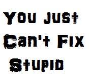 Image result for phrase "can't change stupid"