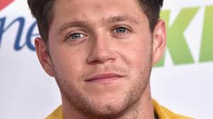 Who Is Niall Horan's Girlfriend, Amelia Woolley?