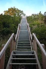 Improve knee stability and strength without straining your back. Don T Just Stare Up The Steps Step Up The Stairs Bret S Blog