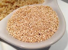 Can Dogs Eat Quinoa Is Quinoa Good Or Bad For Dogs