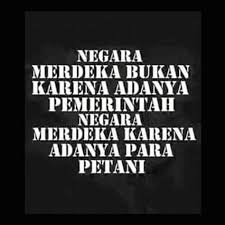 Pada kesempatan kali ini adamin akan menyajikan sebuah kata kata kata mutiara. Kaum Marjinal Taring Babi Photos Facebook