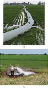 We did not find results for: Expected Irrigation Reductions Using Multiple Inlet Rice Irrigation Under Rainfall Conditions Of The Lower Mississippi River Valley Journal Of Irrigation And Drainage Engineering Vol 144 No 7