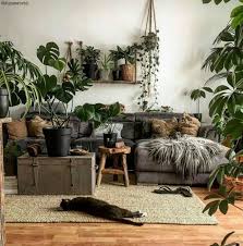 Inspired Spaces Living Room Botany Inspired Living Space Plant Life Indoor Plants Home Decor Living Room Designs Living Decor