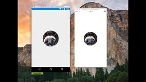 Xamarin Forms How To Create A Circular Image Youtube