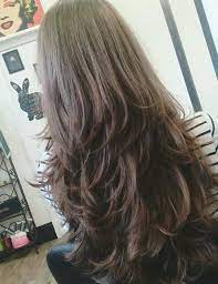 (in most cases, it is best to cut damp hair rather than wet or dry hair. 38 New Images Of Step With Layer Hair Cut