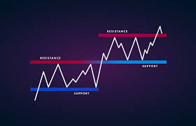Complete Beginner's Guide to Reading Crypto Charts