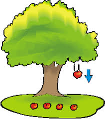 1 Force Of Gravity 2 Gravity Is Always There And Is Show When A Apple Falls From A Tree It Goes Straight To T Science Fair Projects Gravity Public Television