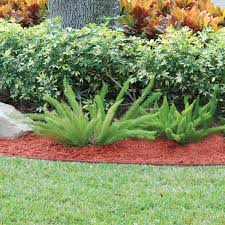 Perfect to use as lawn edging or a tree ring, and works well with weed fabric. Easy Flex 50 No Dig Landscape Edging With Bonus Spikes 1852969 Hsn