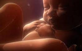4 les petits ennuis du 3e trimestre de grossesse. 7eme Mois De Grossesse