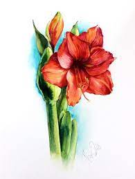 Original Amaryllis Aquarell Rittersporn Bild Hippeastrum Etsy Botanical Flower Art Amaryllis Painting Flower Art