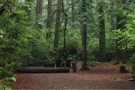 Maybe you would like to learn more about one of these? The Ultimate Guide To Visiting Redwood National Park In 2021