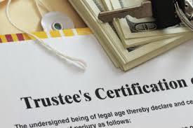 Check spelling or type a new query. What Is A Living Trust Dummies