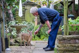 Great savings & free delivery / collection on many items. Man Thought Deer Was Dead Familypet