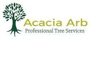 Acacia Arb | Bideford Tree Surgeon | Barnstaple Tree Surgeon