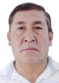 Ingresos de Otorongos Elecciones 2022