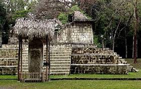 Image result for Euphorbia ophthalmica