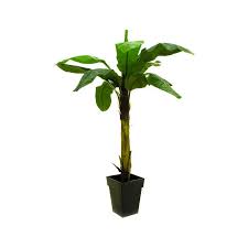 Download free 3d model of plant artificial banana tree, files available in: Artificial Banana Tree Kekoa 7ft 220cm Fake Palms