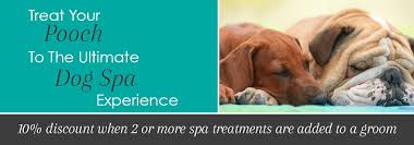 Please be sure to review the updates on our lodging details page! Luxury Dog Spa Treatments Pooch Dog Spa