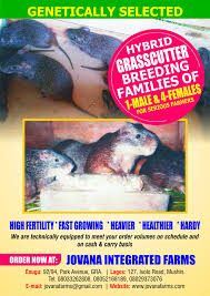 Grasscutter Farmers Posts Facebook