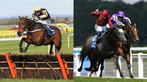 Here at exotic rubber we create the best street racing vs police videos from. Horse Racing Betting Strategy Jump Vs Flat Racing