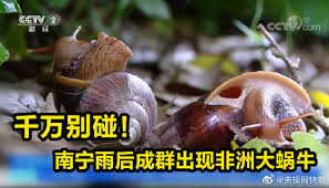 We did not find results for: å¾®åšæœç´¢