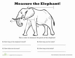 Measure Length Elephant Worksheet Education Com Elephant Mammals Education Com