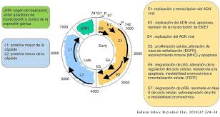 We did not find results for: Infecciones Genitales Por El Virus Del Papiloma Humano Enfermedades Infecciosas Y Microbiologia Clinica