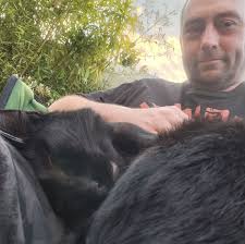 Then and now photos of a house in Drummoyne