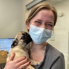 Donate to MSPCA-Angell