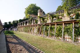 Potsdam hat hunderte von spielplätzen. The Winzerberg Royal Vineyard At Potsdam Sanssouci European Heritage Awards Europa Nostra Awards