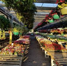 That is in short our main philosophy that inspires us since 1865. Green Side Up Garden And Gift Center Home Facebook