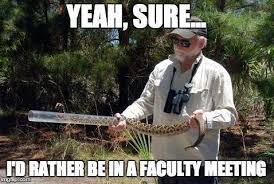 Man Kills Snake Snake Tries To Kill Him Back Npr
