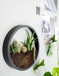 Wanddeko Lasst Fruhlingsdeko Grune Pflanzen Basteln Basteln Fruhlingsdeko Grune Lasst Pflanzen Wanddeko Plants Diy Clock Wall Terrarium Diy