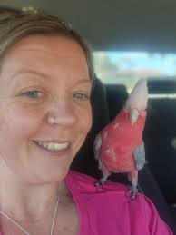 Gidget Williams's Instagram, Twitter & Facebook