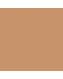 Image result for Copper Glow 1959 Buick