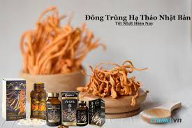 Top 10 Loại Đông Trùng Hạ Thảo Nhật Bản Tốt Nhất Hiện Nay [2024]