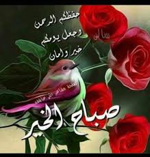 pin by فلسطينية ولي الفخر on صباح الشهد والعسل صباح الحب والغزل صباح مصحوب بالامل صباح الورد يا عسل beautiful morning christmas ornaments good morning images