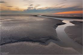 450 km länge zwischen dänemark und den niederlanden. Wattenmeer Forum Fur Naturfotografen
