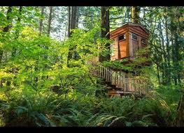 Maybe you would like to learn more about one of these? 10 Incredible Tree House Hotels In The U S Huffpost Life