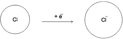 Solved] Explain Why Cation Are Smaller And Anions Are Larger In Radii Th..