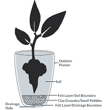 This indoor planters with drainage is a great pot if you are stressed about spillage of water. The Complete Guide To Planting Houseplants In Pots Planters Hortology