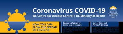 Http Www Bccdc Ca Health Professionals Site Documents Covid19 Interpretingtesting Results Nat Pcr Pdf
