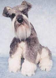 Miniature Schnauzer Stuffed Animal Looks Lifelike Miniature Schnauzer Schnauzer Miniature Schnauzer Puppies