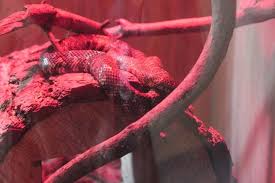 See full list on seyyahdefteri.com Gaziantep Hayvanat Bahcesi Sizi Safariye Davet Ediyor Biletbayi Blog