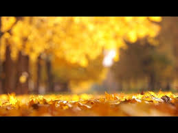 The gregorian calendar is the one commonly used today. Jewish Calendar Solar And Lunar My Jewish Learning