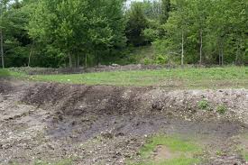 Nothing is better than biting into a piece of fruit freshly picked from your own tree at home. Conservation Benefits From Fruit Nut Trees Are Tops But There S Money In Them Too Harvest Public Media