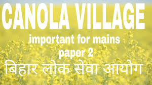 Hindi What Is Canola Village How It Is Different From Mustard In Hindi Youtube