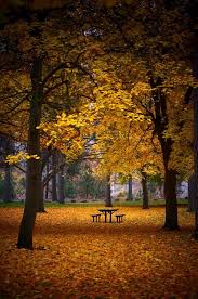 Fall Picnic Table Fall Picnic Autumn Landscape Beautiful Park